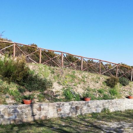 La Casa Gialla Belvedere 코르토나 외부 사진