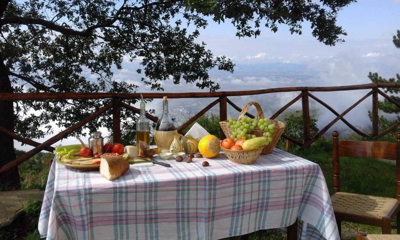La Casa Gialla Belvedere 코르토나 외부 사진