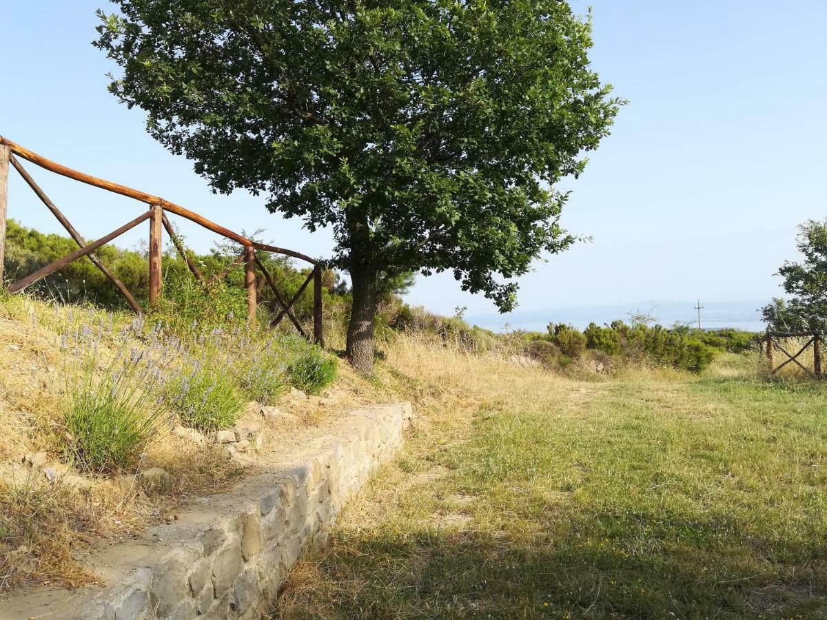 La Casa Gialla Belvedere 코르토나 외부 사진